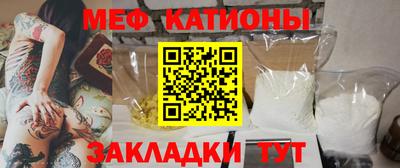 гашик Кингисепп