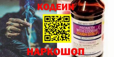 гашик Кингисепп