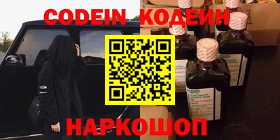 гашик Кингисепп