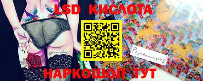 гашик Кингисепп