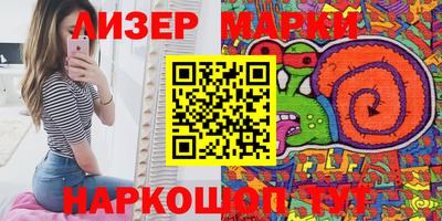 гашик Кингисепп