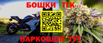 гашик Кингисепп